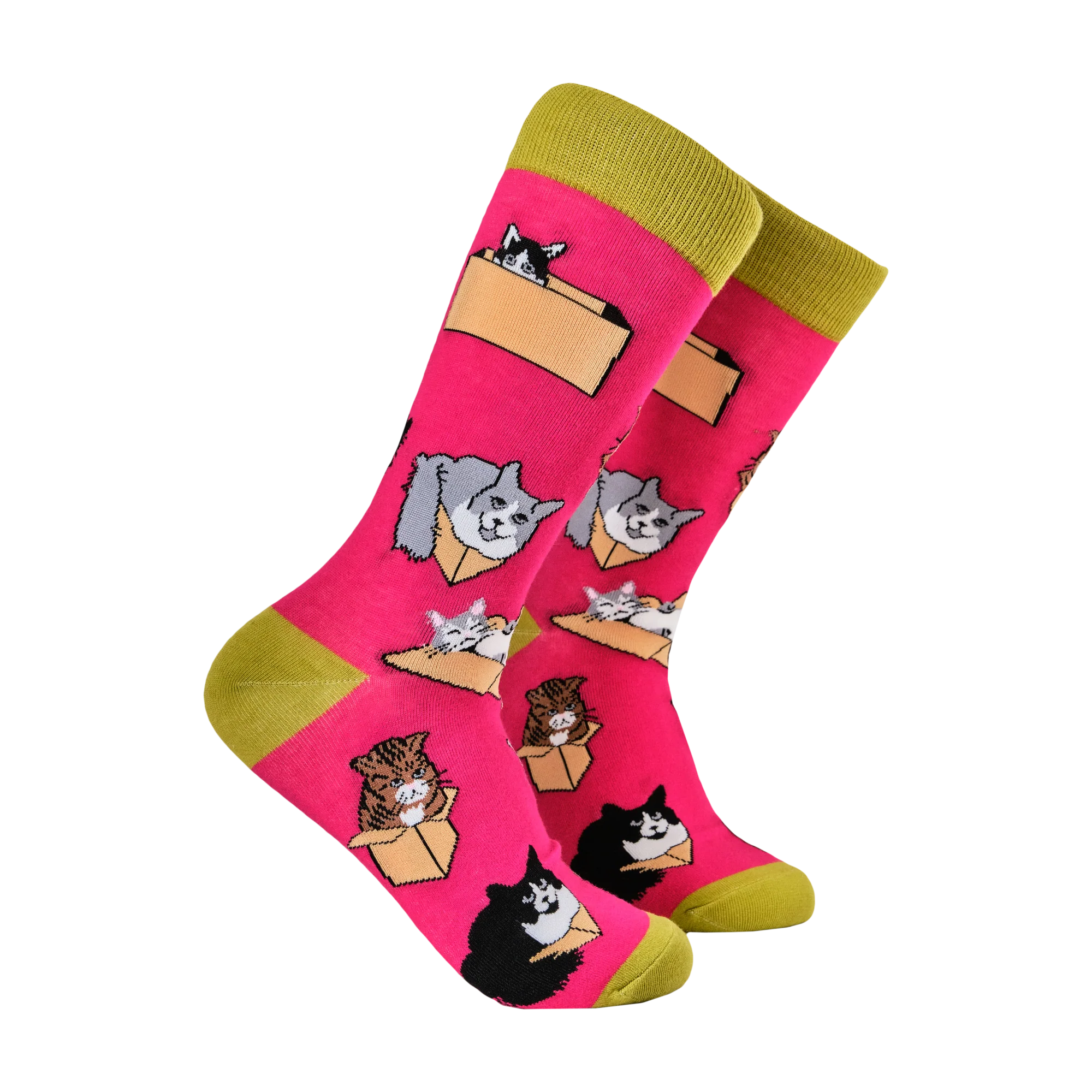 Thumb 3